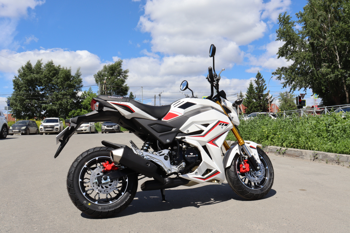 Мотоцикл PROMAX STRYKER 200(49) 2.0 в Иркутске