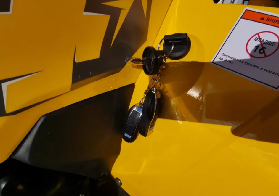 Квадроцикл MOTOLAND (МОТОЛЕНД) VOX200 WILD TRACK X PRO (баланс. вал) в Иркутске