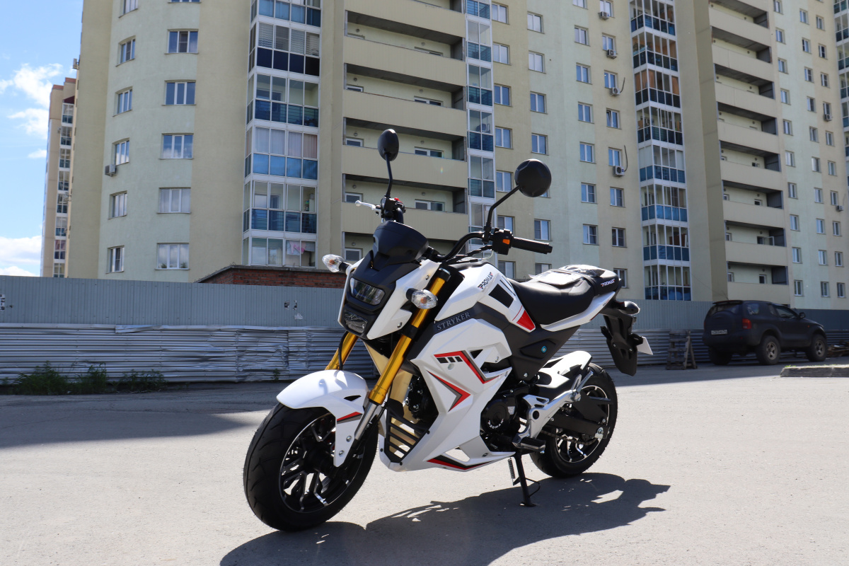 Мотоцикл PROMAX STRYKER 200(49) 2.0 в Иркутске