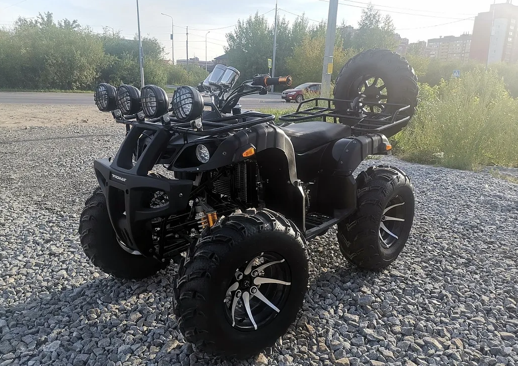 Квадроцикл PROMAX LEO 300 Max (кардан) в Иркутске