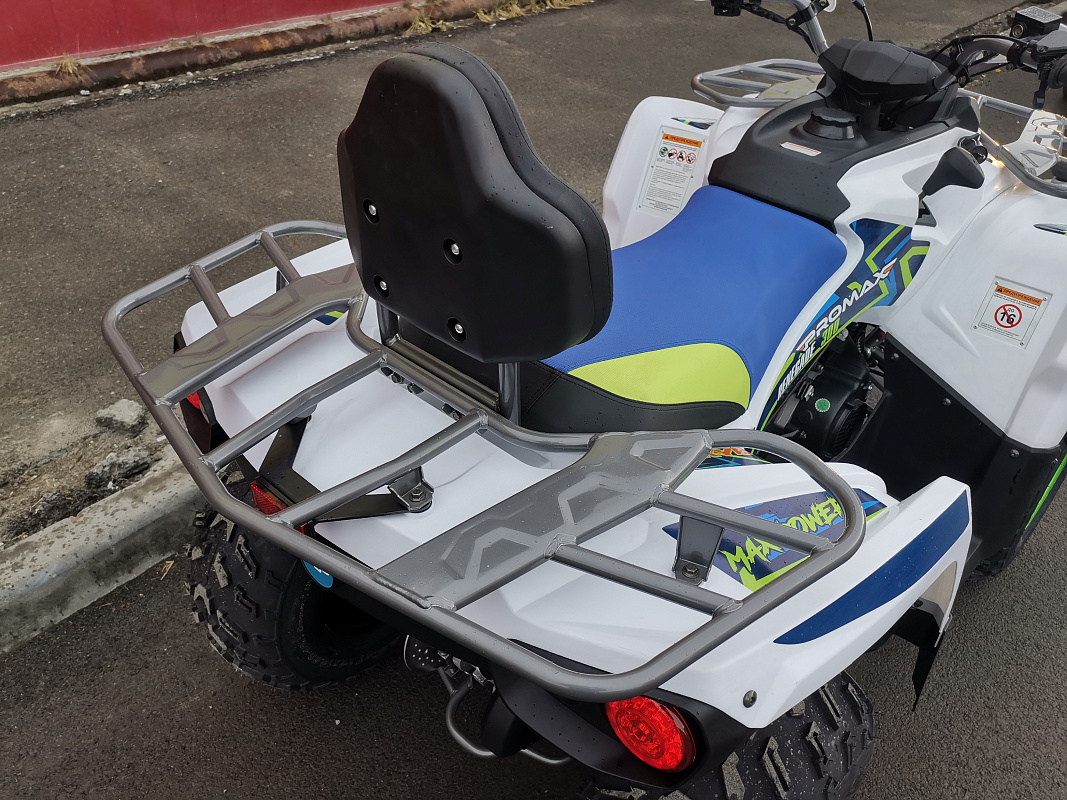 Квадроцикл PROMAX RENEGADE 280 LUX (2025) в Иркутске