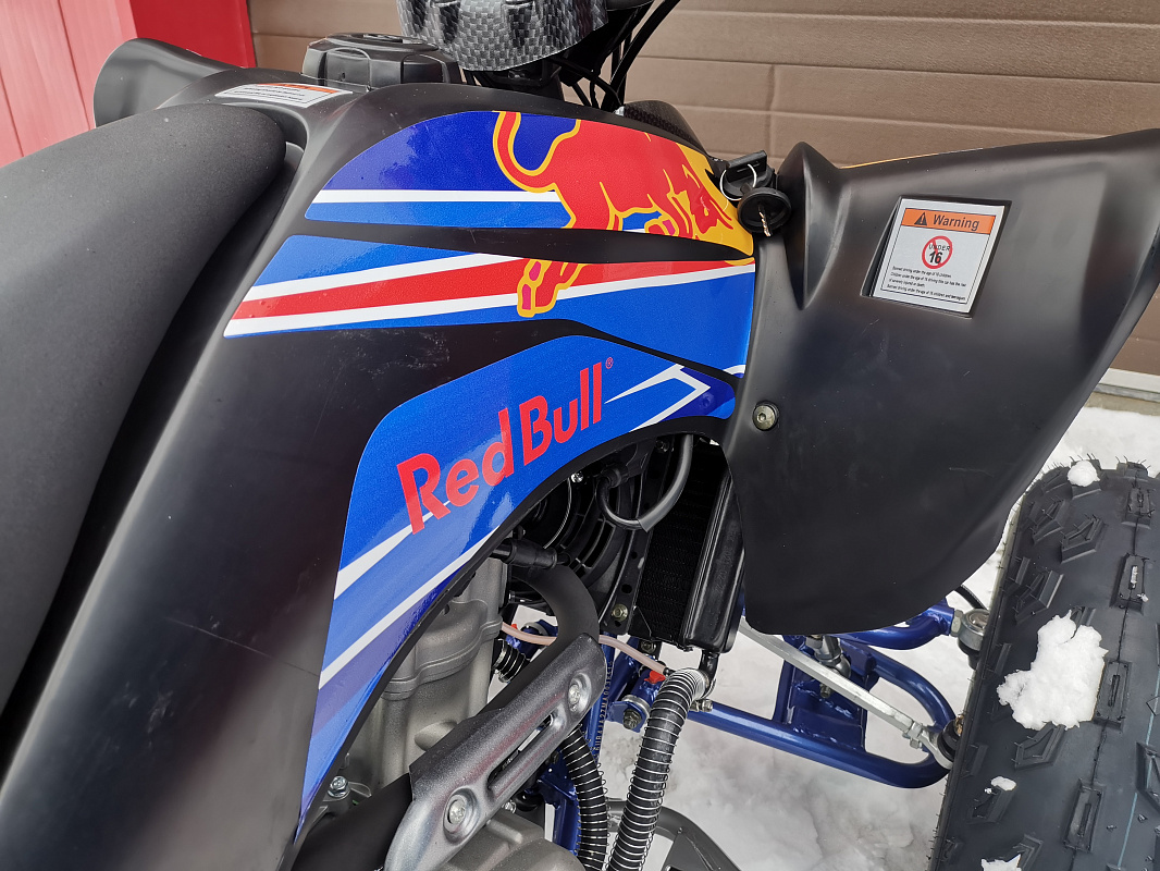 Квадроцикл PROMAX RAPTOR 300 NEW RedBull в Иркутске