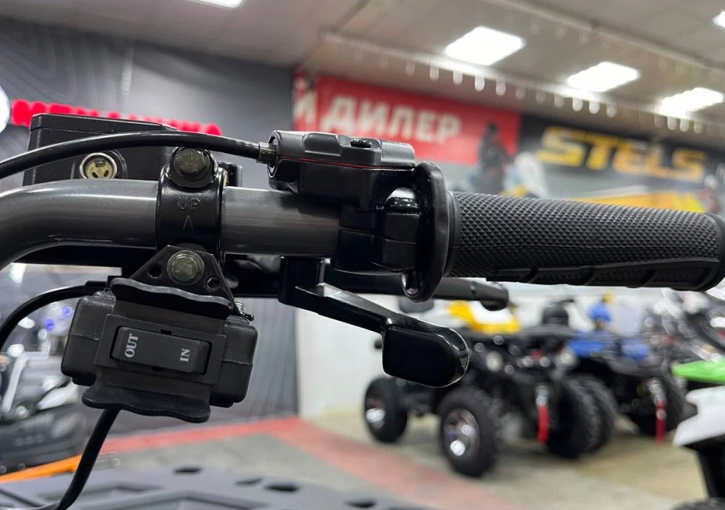 Квадроцикл PROMAX RENEGADE 300 LONG WINCH PRO (2025) в Иркутске