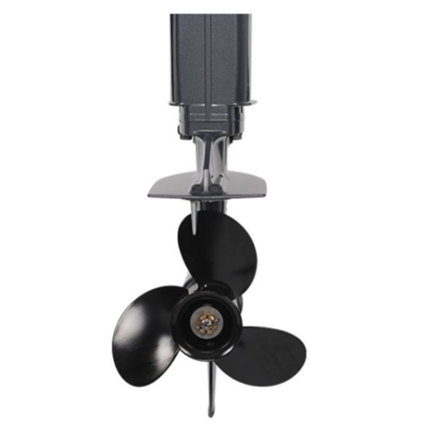 Лодочный мотор ALLFA CG Т40FW S в Иркутске