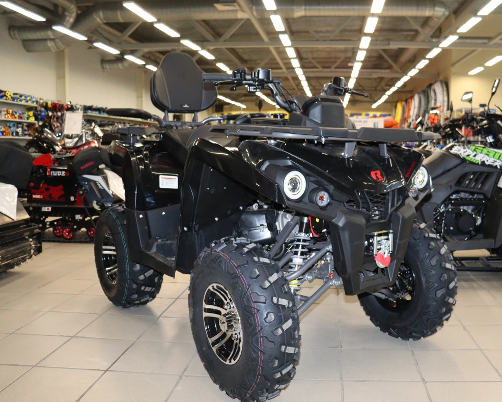 Квадроцикл PROMAX RENEGADE 300 LONG WINCH PRO (2025) в Иркутске