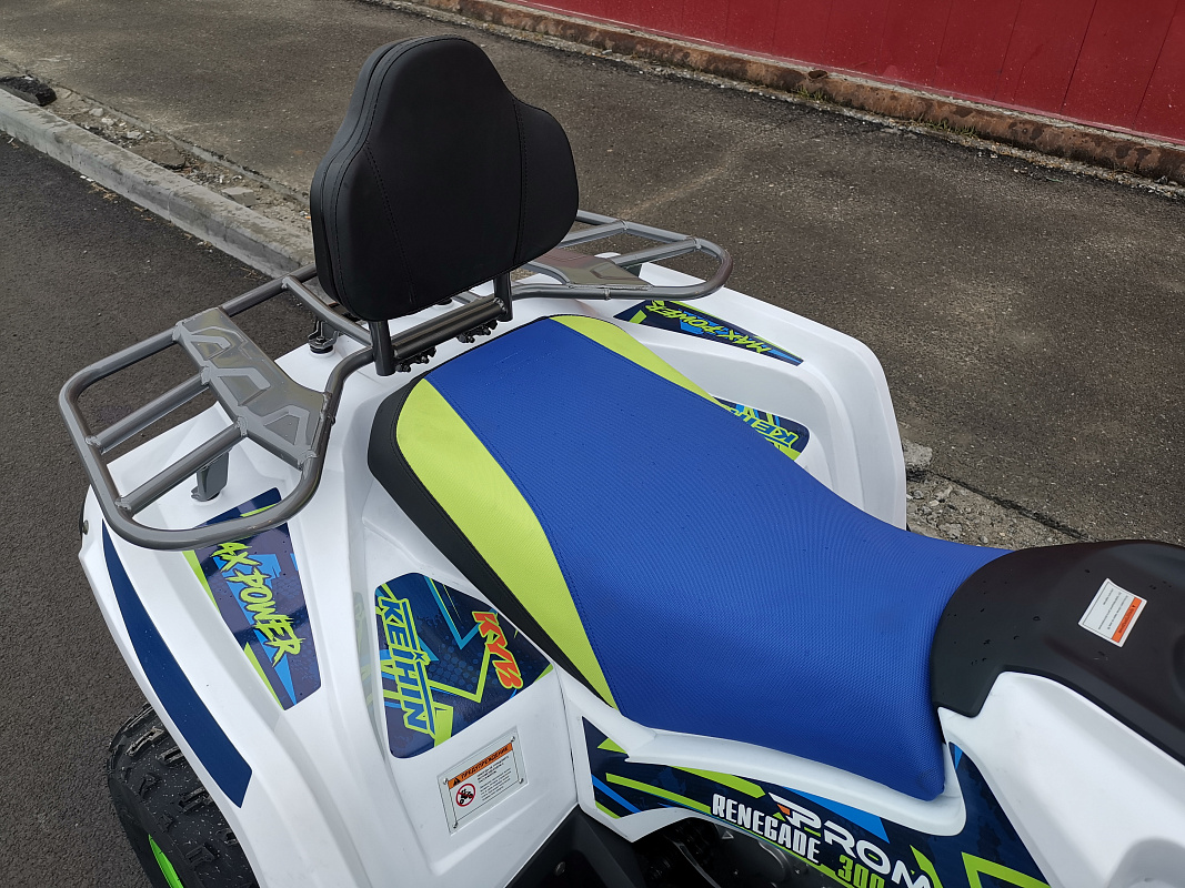 Квадроцикл PROMAX RENEGADE 280 LUX (2025) в Иркутске