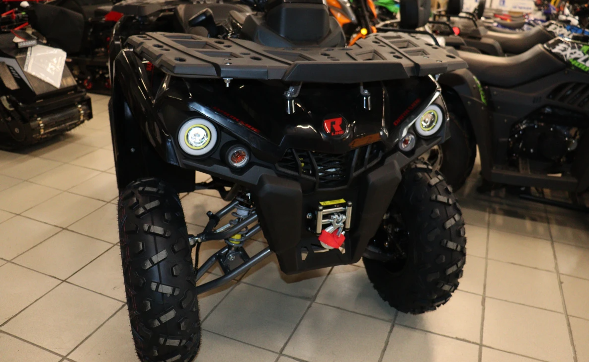 Квадроцикл PROMAX RENEGADE 300 LONG WINCH PRO (2025) в Иркутске