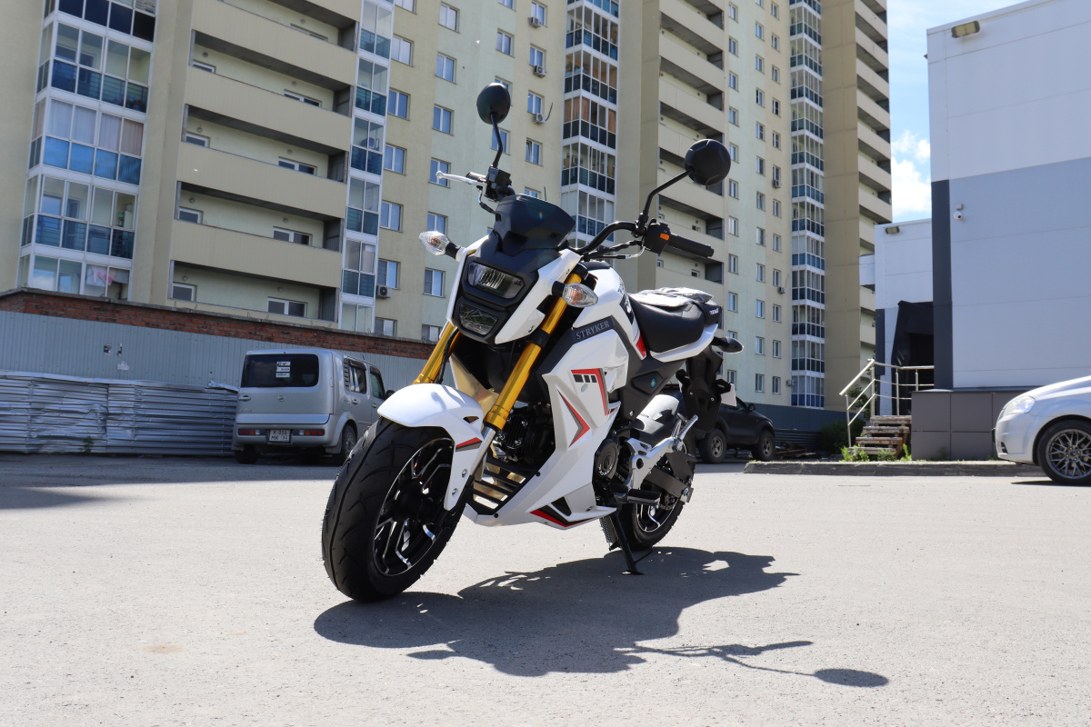 Мотоцикл PROMAX STRYKER 200(49) 2.0 в Иркутске