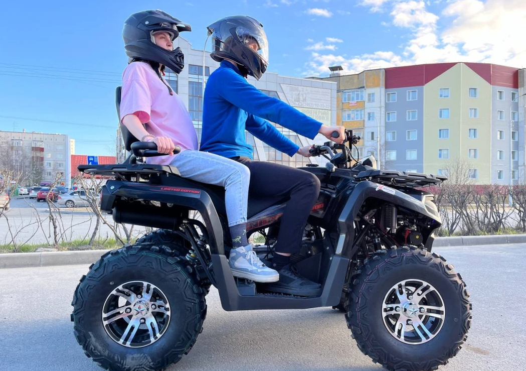 Квадроцикл PROMAX RENEGADE 300 LONG WINCH PRO (2025) в Иркутске