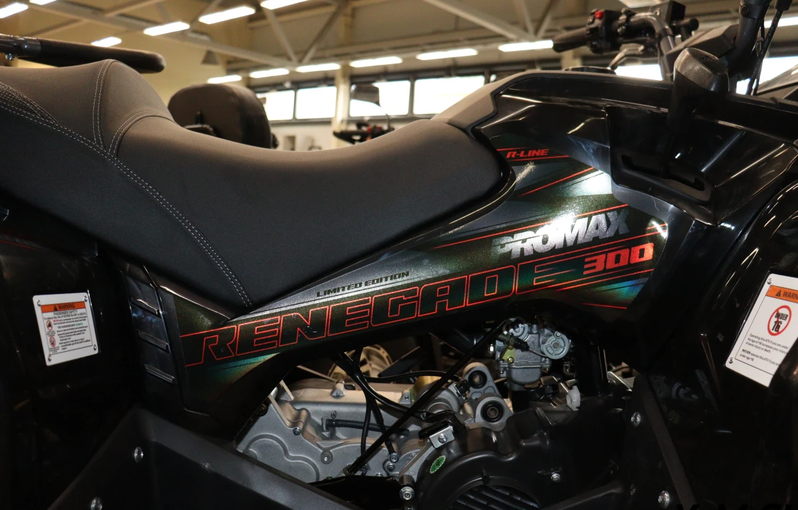 Квадроцикл PROMAX RENEGADE 300 LONG WINCH PRO (2025) в Иркутске