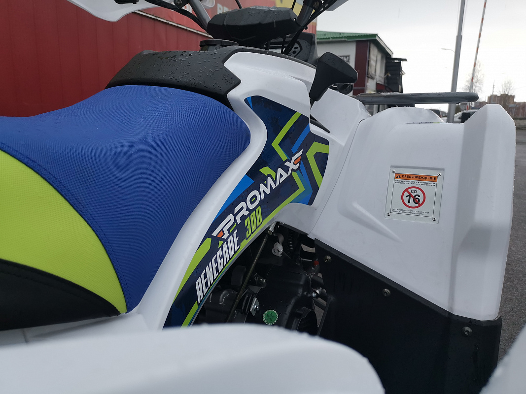 Квадроцикл PROMAX RENEGADE 280 LUX (2025) в Иркутске