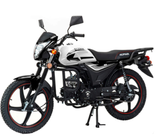 Мопед MOTOLAND (МОТОЛЕНД) Альфа RS 11 (LM48-B) в Иркутске