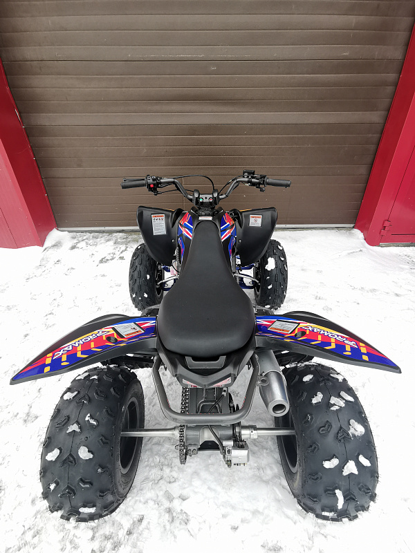 Квадроцикл PROMAX RAPTOR 300 NEW RedBull в Иркутске