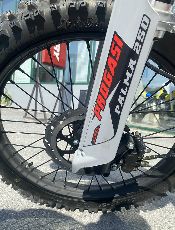 Мотоцикл Progasi PALMA 300 NEW (CB300F) в Иркутске