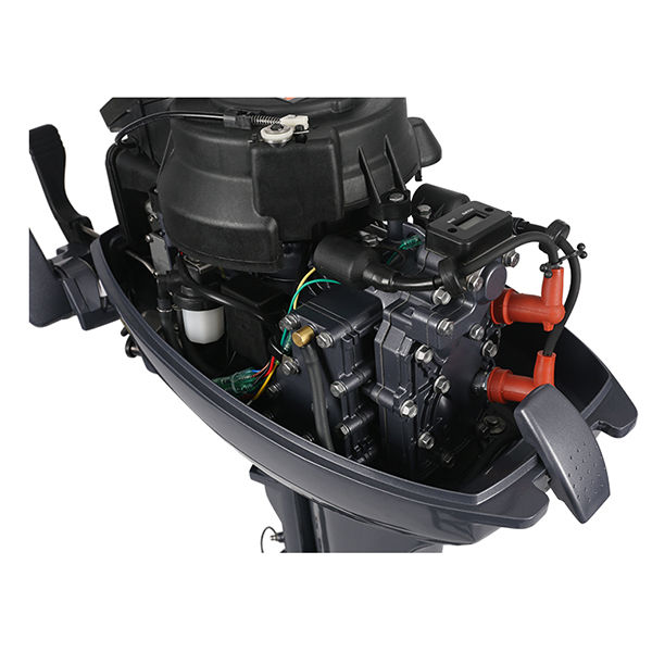 ЛОДОЧНЫЙ МОТОР ALLFA CG Т9,9 в Иркутске