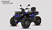 Квадроцикл PROMAX TAURUS 300 MAX-PRO LONG в Иркутске