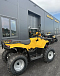 КВАДРОЦИКЛ IRBIS ATV 250  в Иркутске