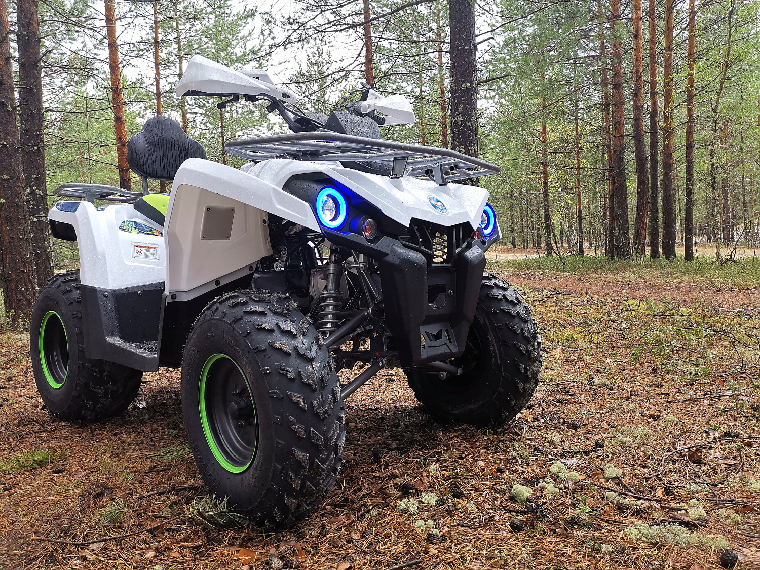 Квадроцикл PROMAX RENEGADE 280 (2025) в Иркутске