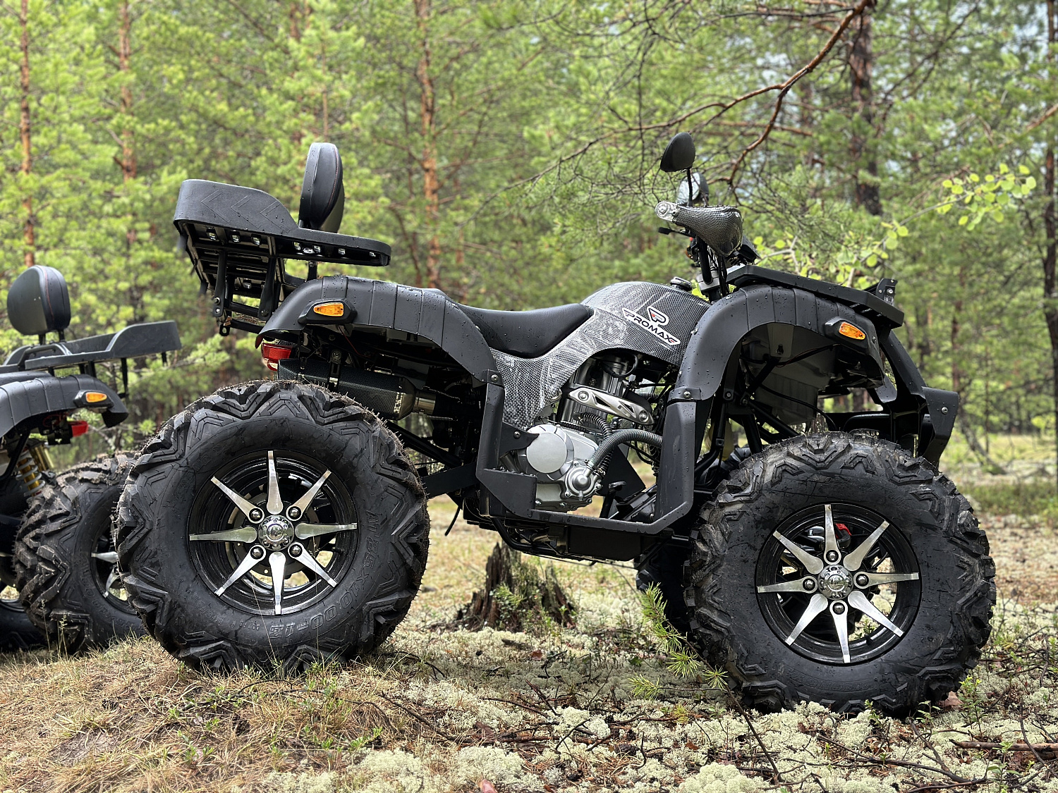 Квадроцикл PROMAX 320 DOMINATOR (2025) в Иркутске