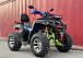  Квадроцикл PROMAX ATV 250 MAX (2025) в Иркутске