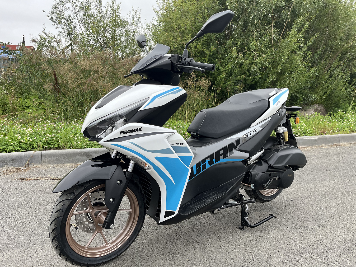 Скутер PROMAX TURAN 250 (49) в Иркутске