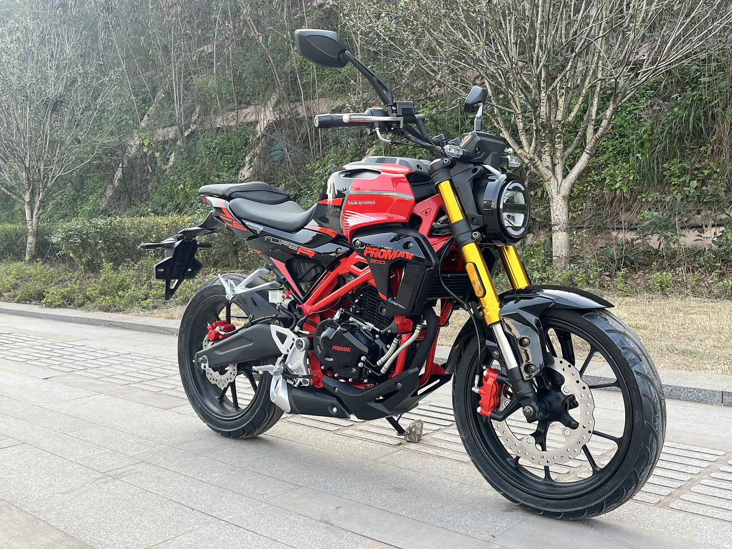 Мотоцикл PROMAX CB300 в Иркутске