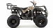 Квадроцикл MOTOLAND (МОТОЛЕНД) 200 ALL ROAD в Иркутске