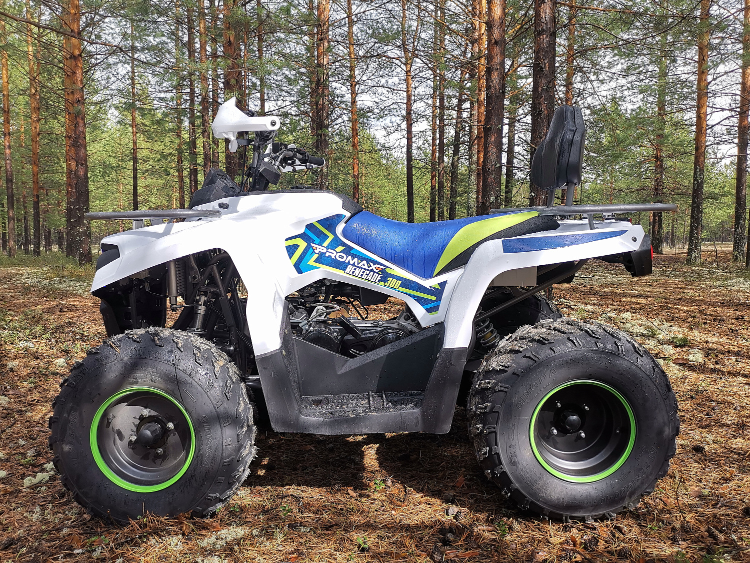 Квадроцикл PROMAX RENEGADE 280 (2025) в Иркутске