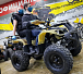 Квадроцикл PROMAX ATV 250 (2025) в Иркутске