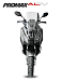 МаксиСкутер PROMAX-HONDA ADV 150 (49) (Inspired by HONDA) в Иркутске