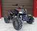 Квадроцикл PROMAX RAPTOR 300 NEW RedBull в Иркутске