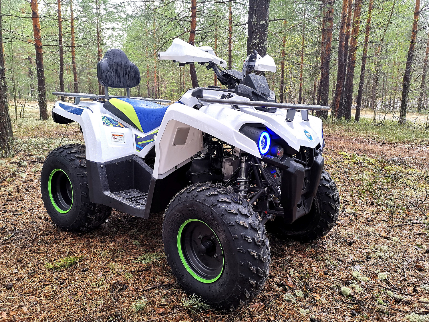 Квадроцикл PROMAX RENEGADE 280 (2025) в Иркутске