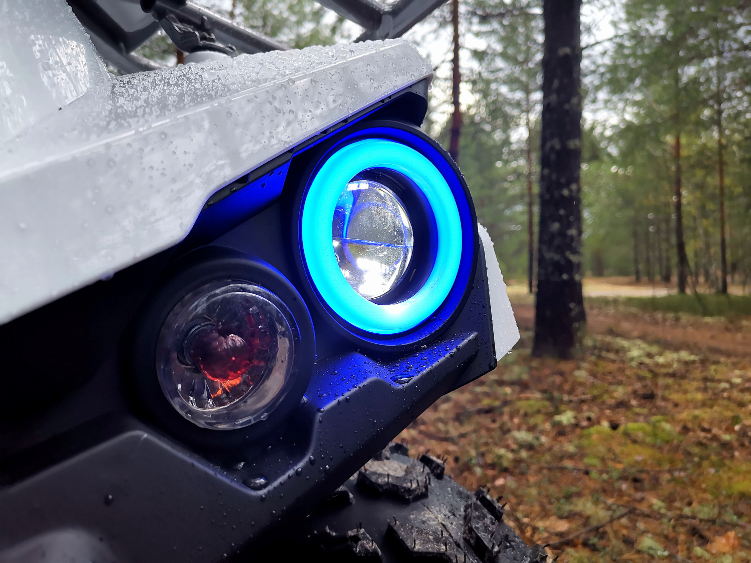 Квадроцикл PROMAX RENEGADE 280 (2025) в Иркутске