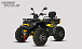 Квадроцикл PROMAX TAURUS 300 MAX-PRO LONG в Иркутске